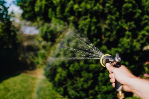 The Ultimate Guide to Choosing and Maintaining Your Garden Hose